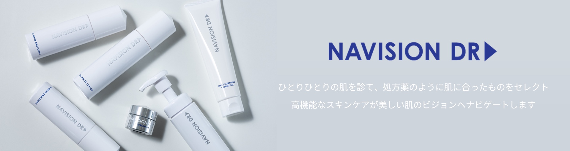 NAVISION DR